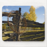 Barbed Wire