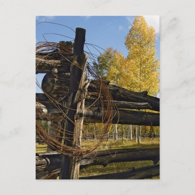 Barbed Wire Postcard (Front)