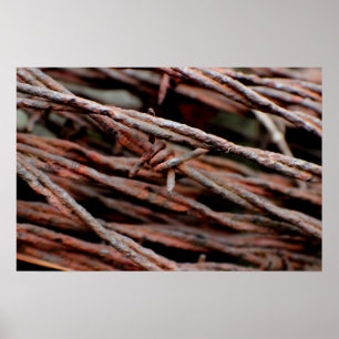 Barbed Wire Poster