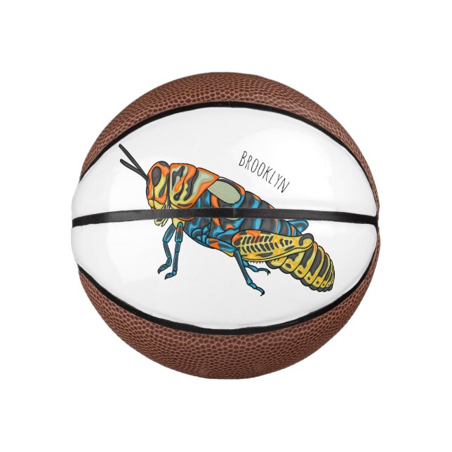 Barber pole grasshopper cartoon illustration   mini basketball (Front)