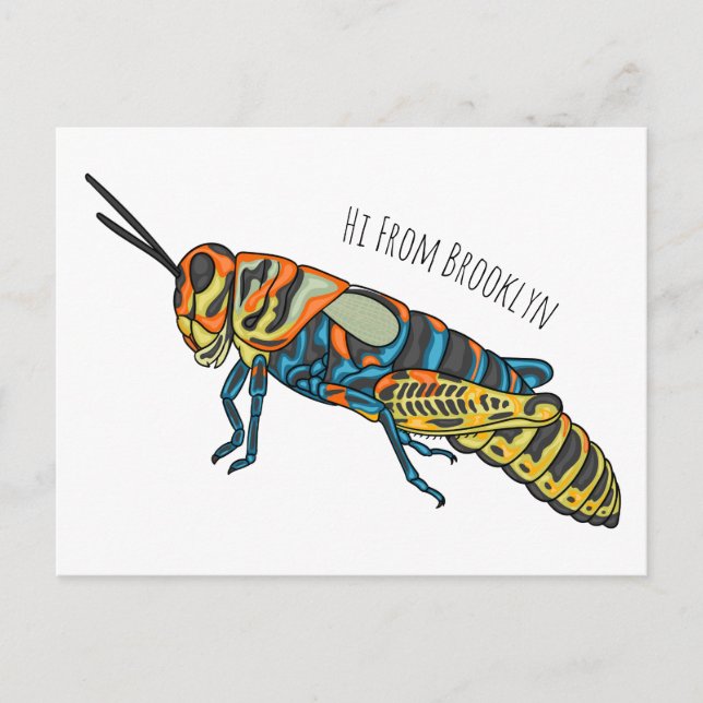 Barber pole grasshopper cartoon illustration postcard (Front)