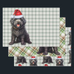 Barbet Christmas Dog Green Plaid Wrapping Paper Sheet<br><div class="desc">An adorable Barbet dog is ready for the holiday season with holiday hat. This cute Christmas dog is paired with a green and white holiday plaid on this set of gift wrap for the dog lover.</div>