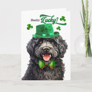 Barbet Dog Feelin' Lucky St Patrick's Day Holiday Card