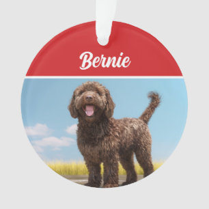 Barbet Dog Holiday Christmas Photo Ornament