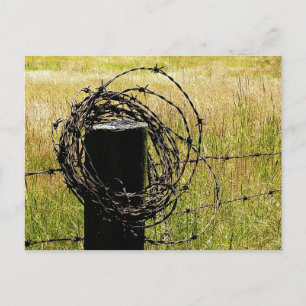 Barbwire Country Postcard