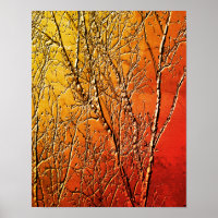 Bare Birch Tree Branches Abstract
