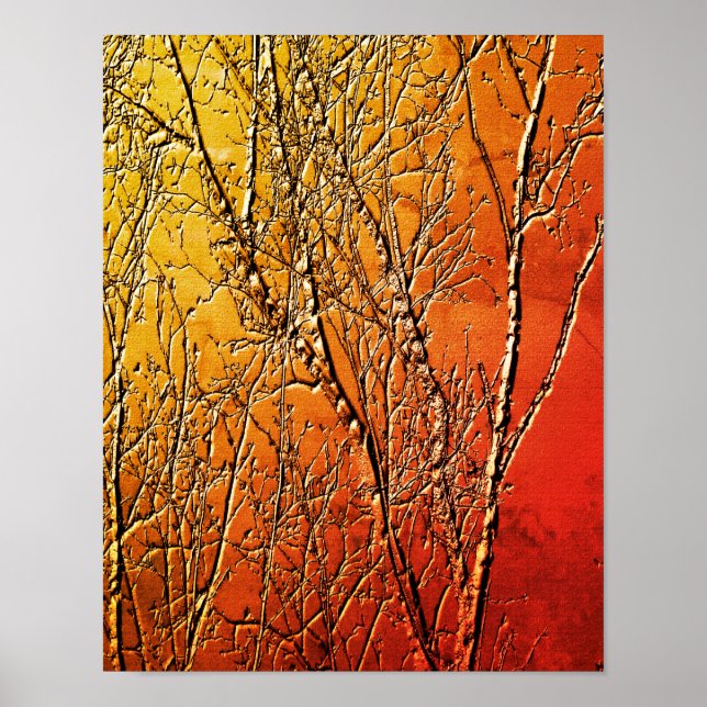 Bare Birch Tree Branches Abstract Poster (Front)