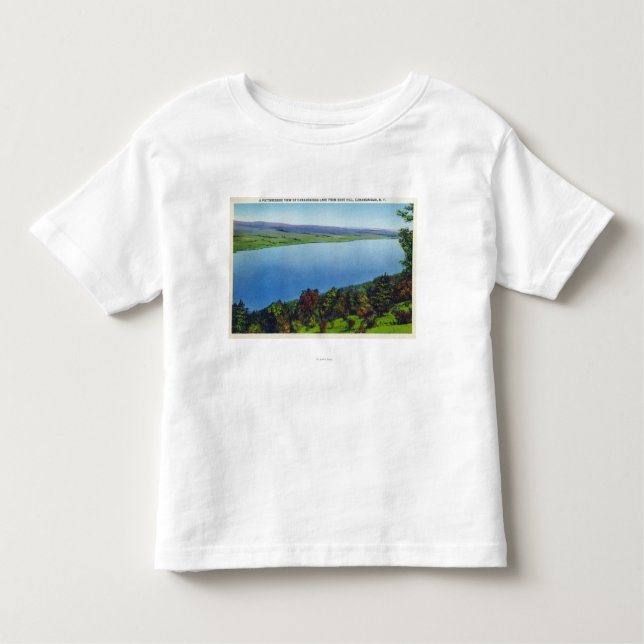 Bare Hill View of Canandaigua Lake Toddler T-Shirt (Front)