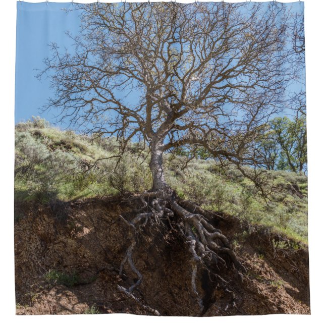 Bare tree on mountain during day shower curtain (Front)