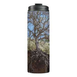 Bare tree on mountain during day thermal tumbler