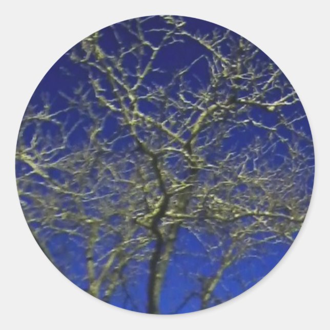 Bare Tree sticker (Front)