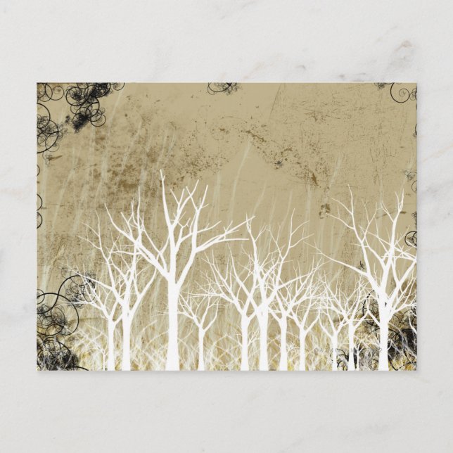 Bare Winter Trees Postcard (Front)