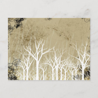Bare Winter Trees Postcard