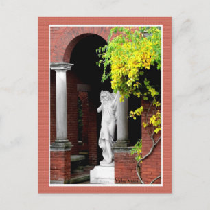 Barefoot Kate Postcard