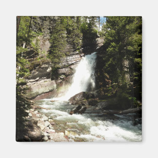 Baring Falls at Glacier National Park Magnet