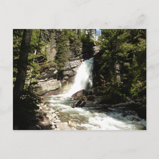 Baring Falls at Glacier National Park Postcard (Front)