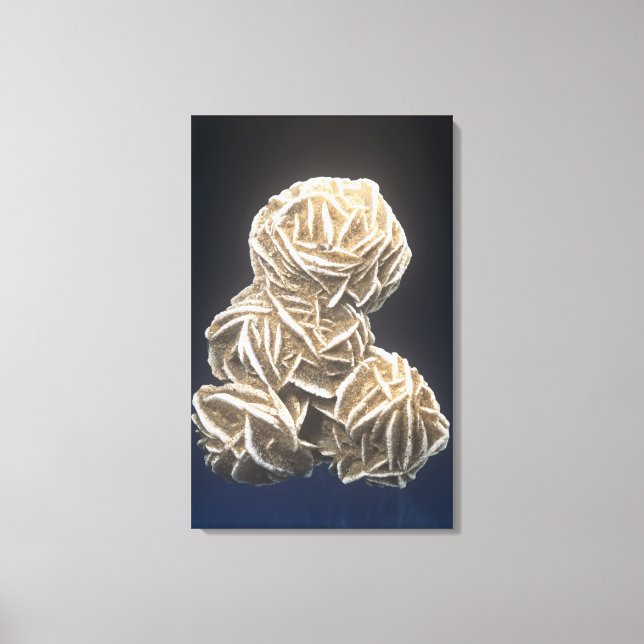 Barite crystals with Gypsum, Norman, Oklahoma, USA Canvas Print (Front)