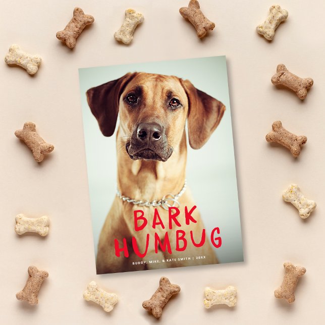 Bark Humbug Cute Funny Pet Dog Photo Holiday Card (Creator Uploaded)