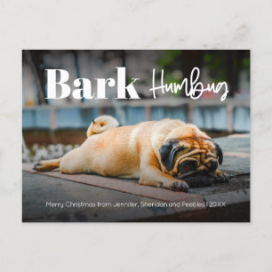 Bark Humbug Cute Modern Custom Photo  Holiday Post Postcard