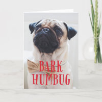 Bark Humbug Cute Puppy Dog | Holiday Photo Folded