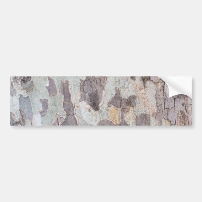 Bark of plane tree bumper sticker (Front)