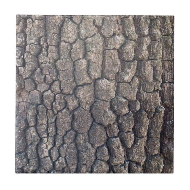 Bark of plane tree tile (Front)
