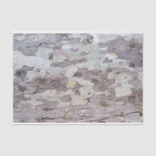 Bark of plane tree tissue paper