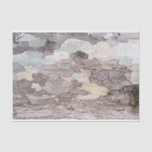 Bark of plane tree tissue paper