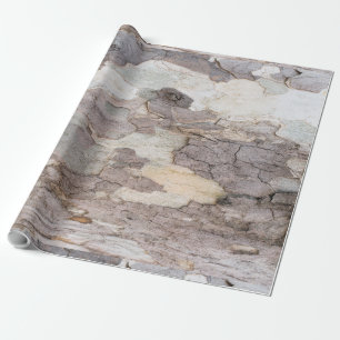 Bark of plane tree wrapping paper