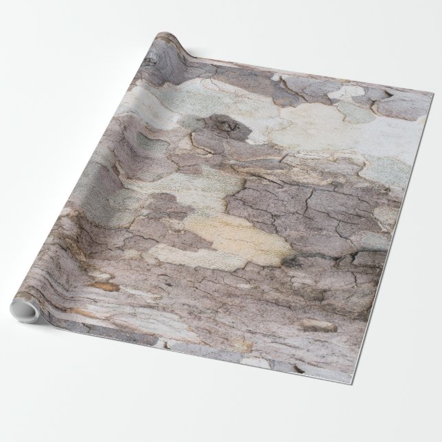 Bark of plane tree wrapping paper (Unrolled)