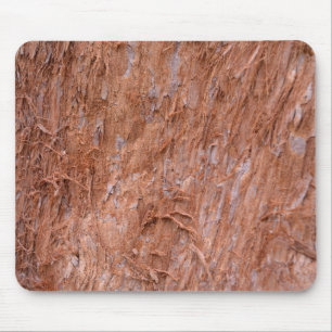 bark of tree in a forest mouse pad