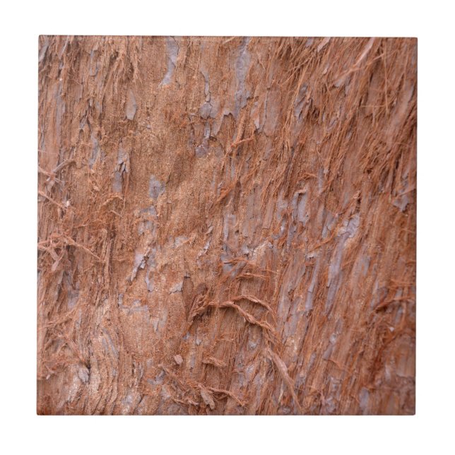 bark of tree in a forest tile (Front)