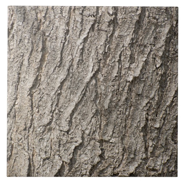 Bark pattern tile (Front)