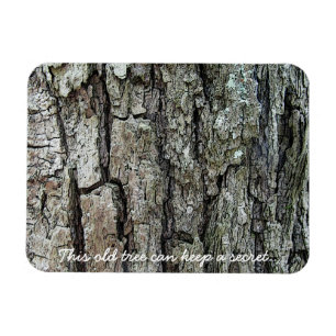 Bark This Old Tree Can Keep A Secret Magnet