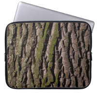 Bark tree oak moss trunk wood