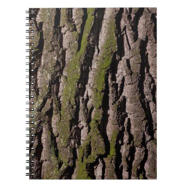 Bark tree oak moss trunk wood notebook (Front)