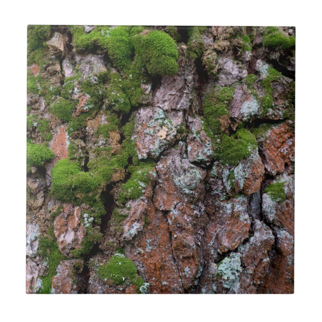 Bark tree tile (Front)