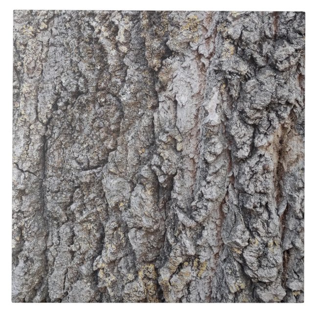 Bark wooden pattern ceramic tile (Front)