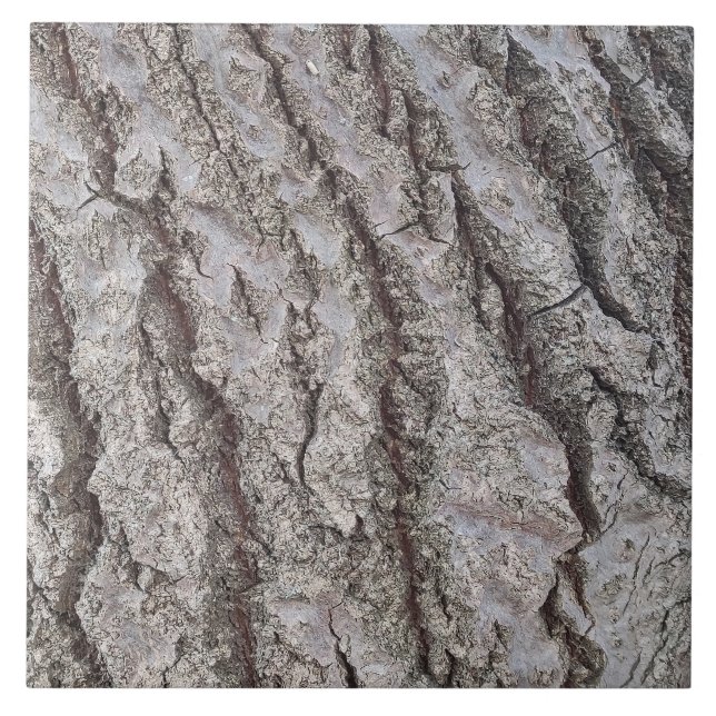 Bark wooden pattern tile (Front)