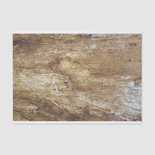 Bark wooden pattern tissue paper (Front)