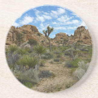 Barker Dam Loop Trail at Joshua Tree National Park Coaster