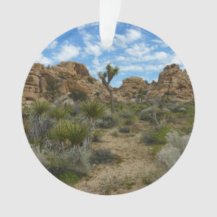 Barker Dam Loop Trail at Joshua Tree National Park Ornament