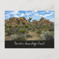 Barker Dam Loop Trail at Joshua Tree National Park