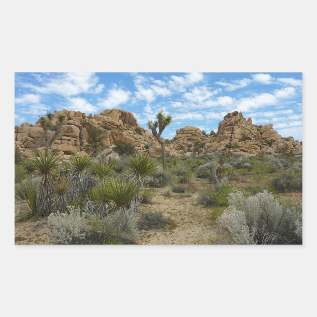 Barker Dam Loop Trail at Joshua Tree National Park Rectangular Sticker (Front)