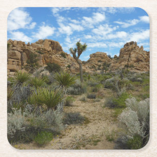 Barker Dam Loop Trail at Joshua Tree National Park Square Paper Coaster
