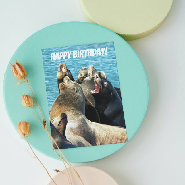 Barking Seal Lions From All Nature Birthday Card (In Situ)