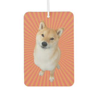 Barkley Brand Rectangle Air Freshener