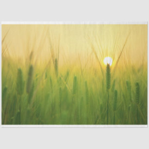 Barley Field Farm Decoupage Tissue Paper