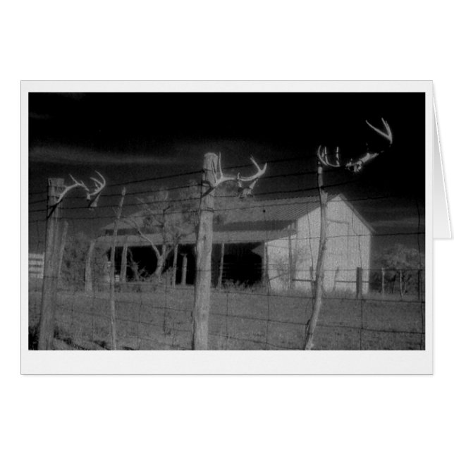 "Barn and Antlers" (Front Horizontal)