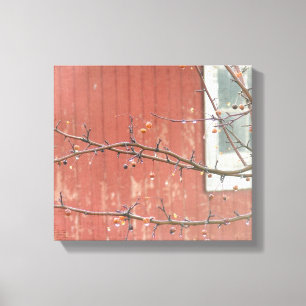 Barn and Berries Canvas Print